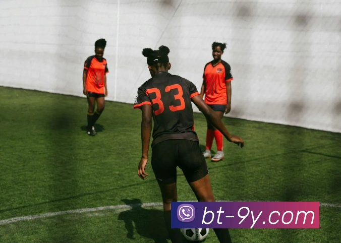 九游官网APP 封面图